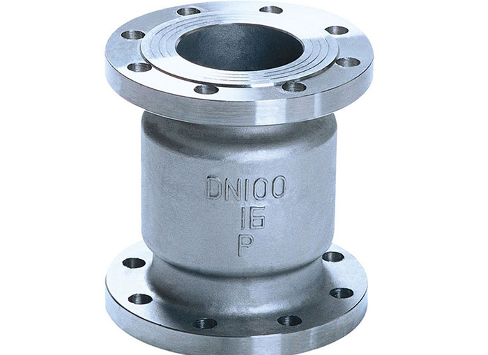 stainless steel vertical check valve
